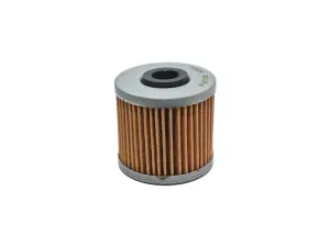 Filtro de aceite Kymco Downtown 300 Polini