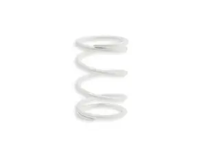 Resorte Clutch Blanco Sym Joymax 300 9.9k Malossi