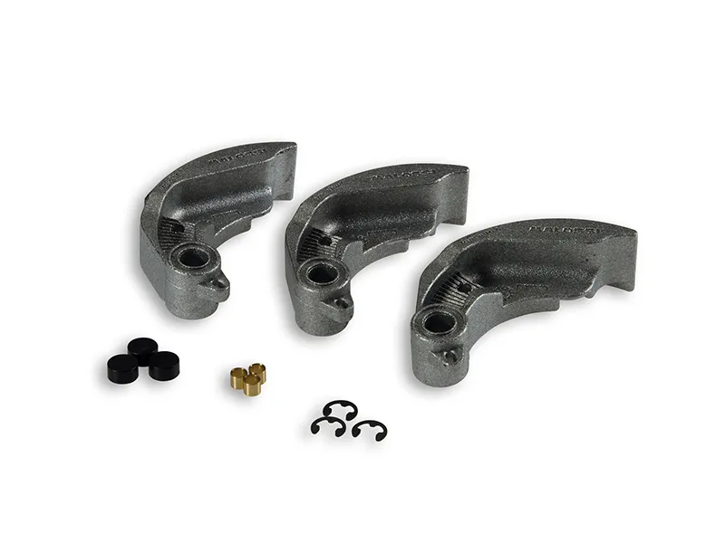 Zapatas para Maxi Delta Clutch Malossi
