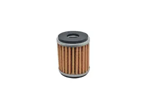 Filtro de aceite Yamaha Xmax 300/Nmax Connected/Mt15/R15 Polini