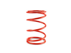 Resorte Clutch Yamaha Xmax 300 Rojo Malossi 6,2k