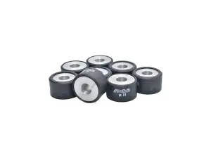 Rollers 25×15 (8 unidades) Polini