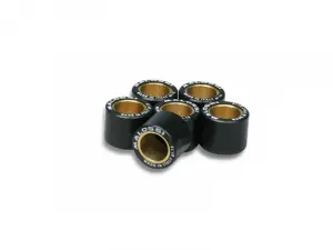 Rollers 19×15 Malossi