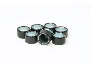 Rollers 25×17 (8 unidades) Malossi
