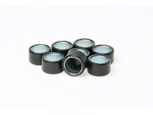 Rollers 25x17 (8 unidades) Malossi