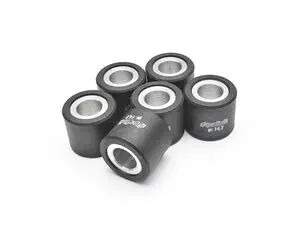 Rollers 25×22 Sym Citycom 300/Joymax 300 Polini