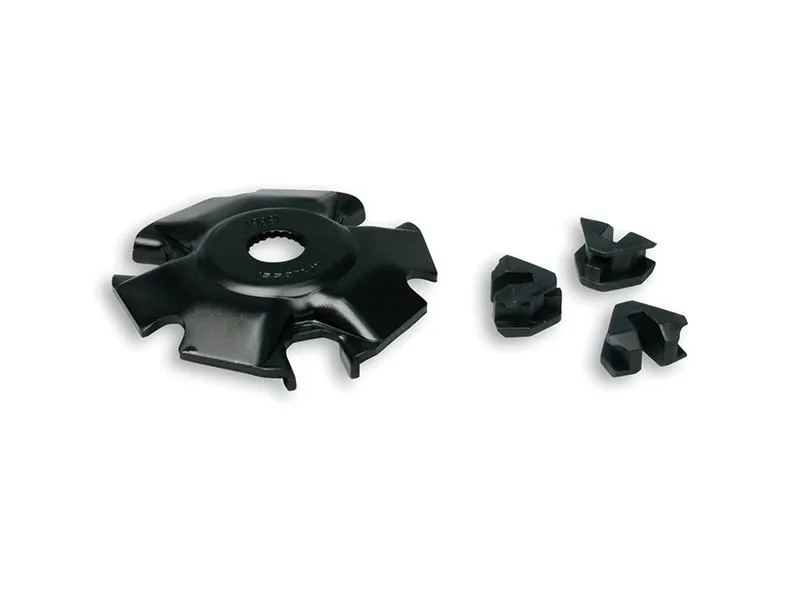 Tapa de rampas para variador multivar 2000 Malossi