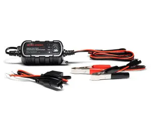 Cargador de Bateria Inteligente Malossi