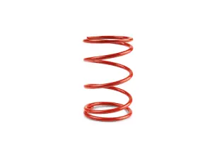 Resorte de torque rojo Aprilia SR Max 300 Malossi 7,2k