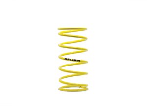 Resorte clutch Akt Dynamic 125/Sym Crox/125/150/180 Malossi 5,5k