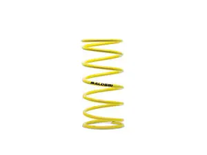 Resorte clutch Akt Dynamic 125/Sym Crox/125/150/180 Malossi 5,5k