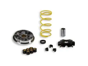 Variador multivar 2000 Suzuki Address 50 Malossi
