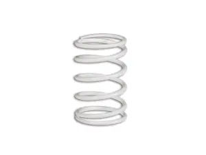 Resorte clutch blanco Bmw C600/C650/GT/Sport Malossi 11,0k
