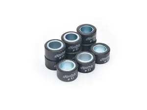 Rollers 20×12 (x9) 9,2g Polini