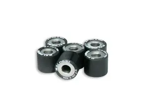 Rollers 25×22 gr. 20 Malossi