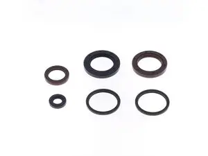 Kit retenedores motor Kymco Downtown 300 Athena