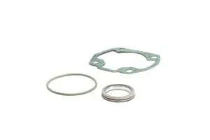Kit empaques Grupos Termicos 40/47/47,6 mm Malossi